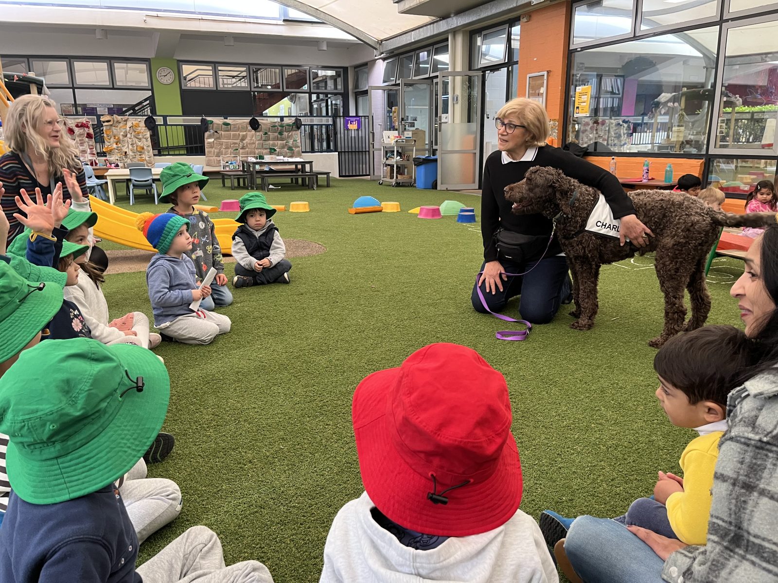 Therapy Dog visits Early Learning – International Grammar School Sydney