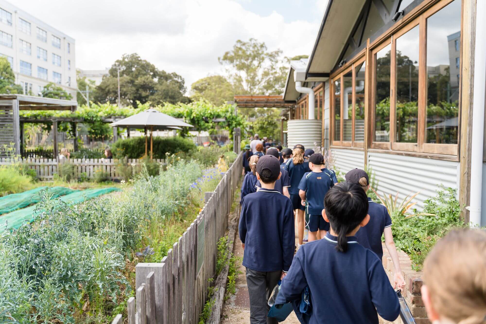 Sustainable Learning Adventure at Pocket City Farms International