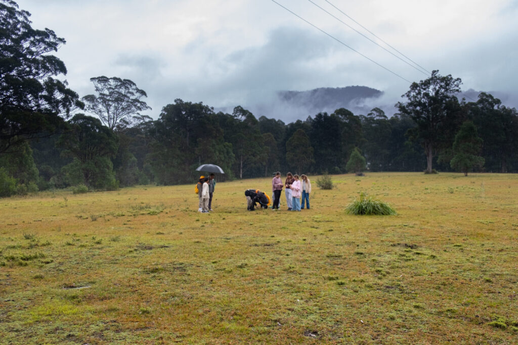 A group enjoys a Habitat Walk on a grassy field with trees and misty mountains in the background; one person holds a brolly as others gather closely beneath cloudy skies and visible power lines above.