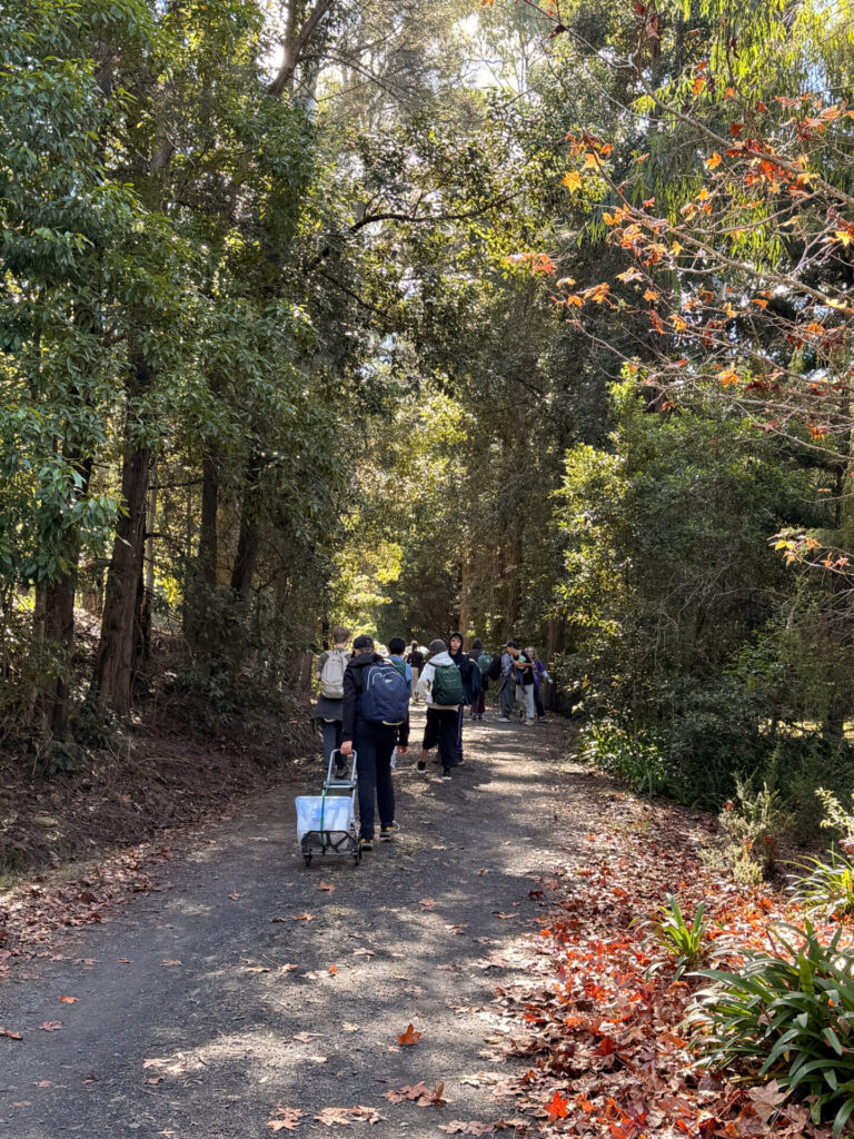 A group of people enjoy a Habitat Walk along a tree-lined path in a forest, some carrying bags and pulling trolleys. Sunlight filters through the leaves, with fallen leaves scattered on the ground.