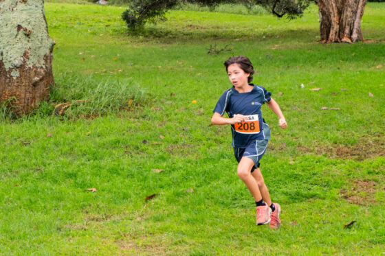 A young child from Junior School, wearing a race number bib numbered 208, is running on green grass in a park during the Sports Round-Up, dressed in sports clothes and pink trainers, surrounded by trees.
