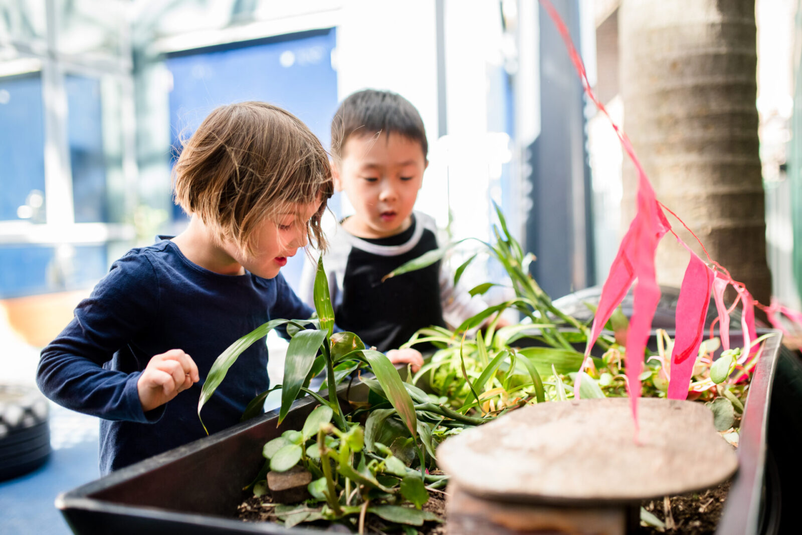 Two young children, immersed in Early Childhood Education, look closely at green plants in a garden bed, appearing curious and engaged. Bright pink ribbons are tied nearby, and sunlight filters in, creating a lively and playful atmosphere perfect for early learning experiences.